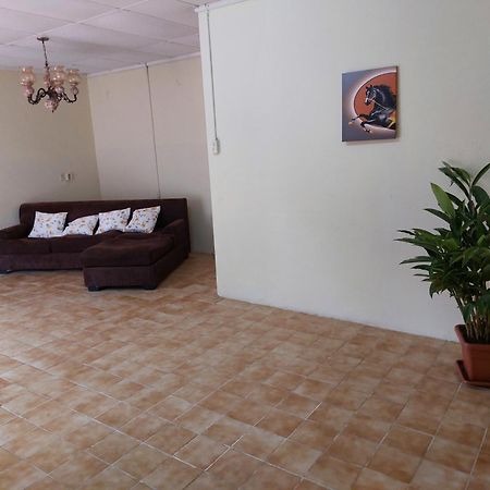 Mi Hogar Appartement Julianadorp Buitenkant foto