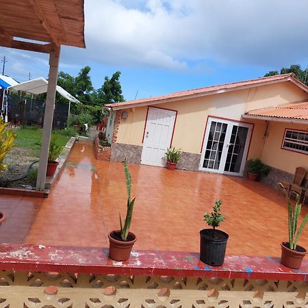 Mi Hogar Appartement Julianadorp Buitenkant foto